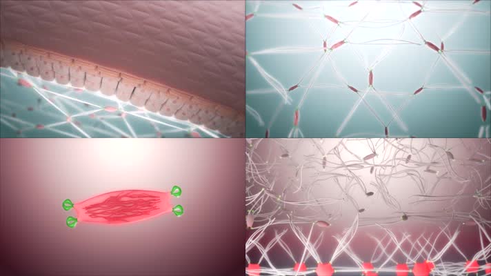 皮肤抗衰老细胞纤维胶原蛋白再生动画视频素材