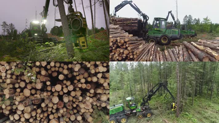 机器伐木视频视频素材