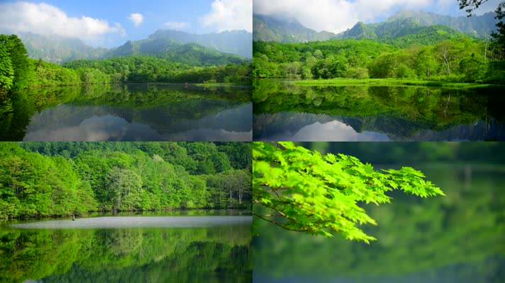 青山绿水森林湖面美景视频素材