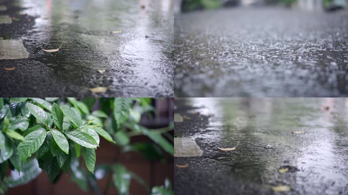 下雨天实拍视频素材视频素材下载,高清实拍下雨天实拍视频素材视频