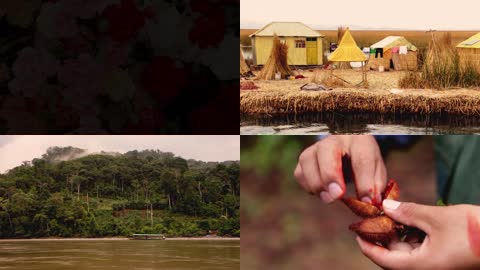 亚马逊流域人文风光人文自然