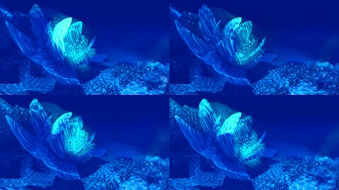 透彻蓝色海底花朵波纹视频