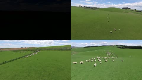 4K绿色牧羊农场（12分钟超长）