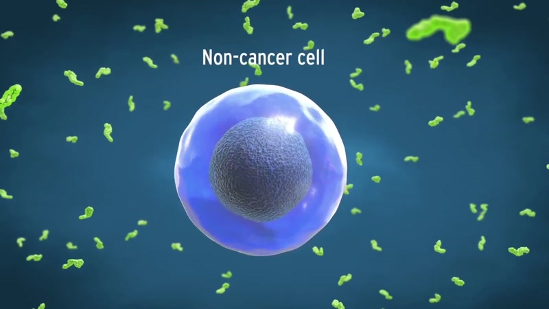 癌细胞正常细胞对比图片
