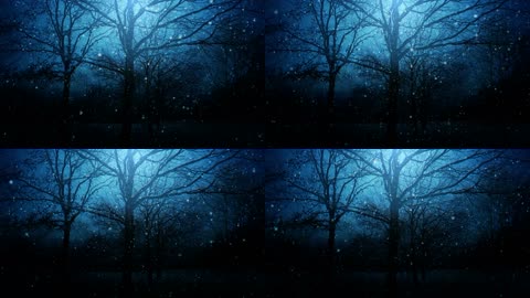 夜晚下的雪花飘落枯树抒情背景