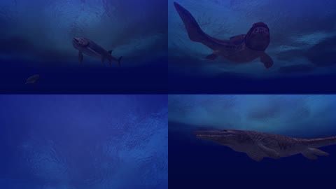 3D人类起源史前海洋古生物