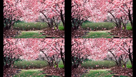 桃花树花瓣飘落动态背景