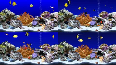 3d海底世界梦幻生态水族馆