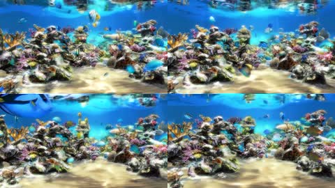 3D梦幻海底世界水族馆珊瑚礁热带鱼群