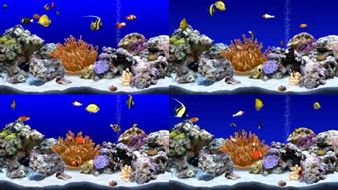 3d海底世界梦幻生态水族馆