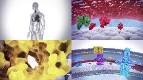 3D人体机理肺部疾病感染肺癌
