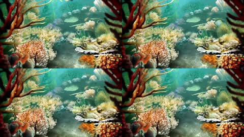 3D唯美梦幻海底世界热带鱼群珊瑚礁水族馆