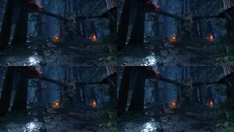 3D神秘森林夜景