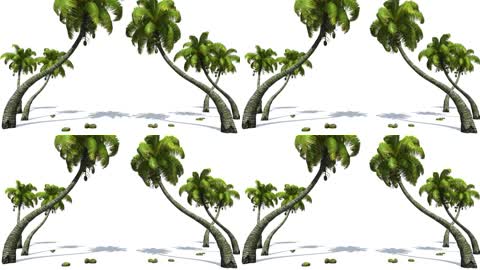 3d椰子棕榈树和风的互动