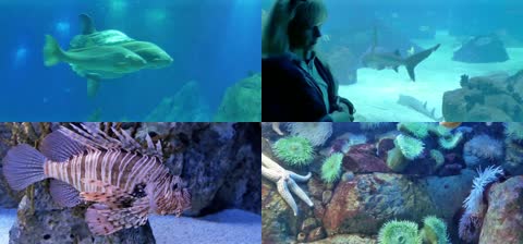 3K海洋世界水族馆