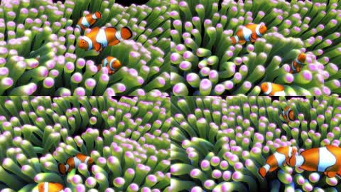 3d唯美梦幻海底世界热带鱼群珊瑚海葵