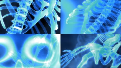 人体虚拟骨架脊椎医学研究学习