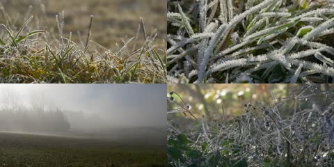 4K冬景大自然植物冰冻结霜森林光线美景