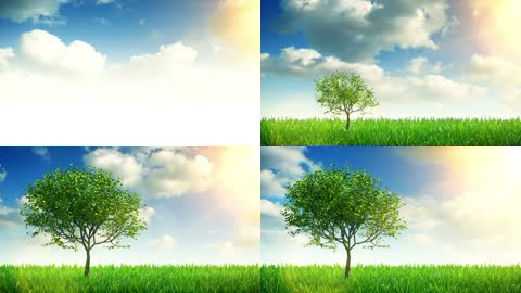 唯美意境蓝天白云草地小树生长生命的成长
