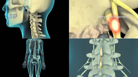 虚拟人体脊椎脊柱架构延时三维动画镜头动态LED背景视频素材