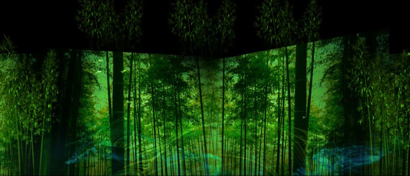 竹林武术背景风景