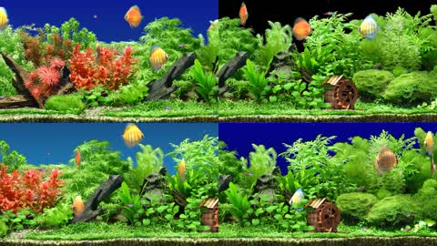 4k梦幻3d水族花园生态水族馆