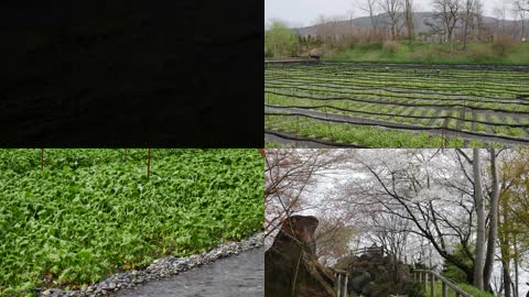 日本农村菜园
