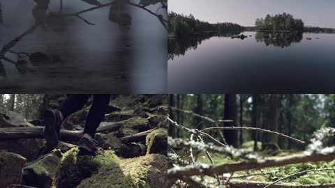 野外生活自然河流树木和动物