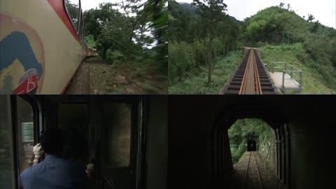 阿里山森林铁路小火车 火车司机 山洞隧道 一路风景