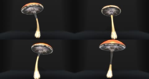 三维蘑菇4K  