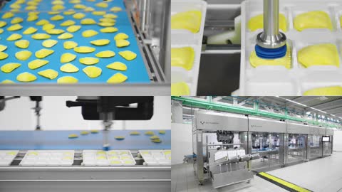 食品水饺馄饨全自动生产包装流水线