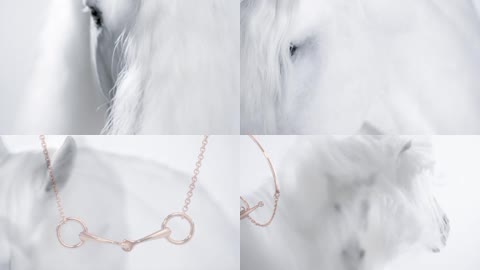 漂亮的白马与珠宝首饰