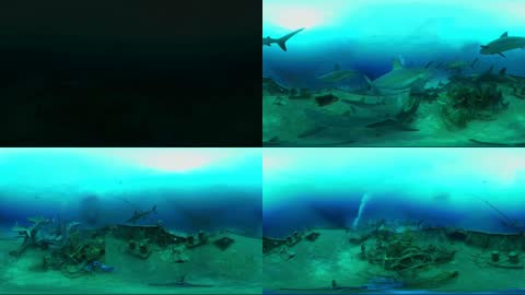 VR360海底世界虚拟现实全景视频