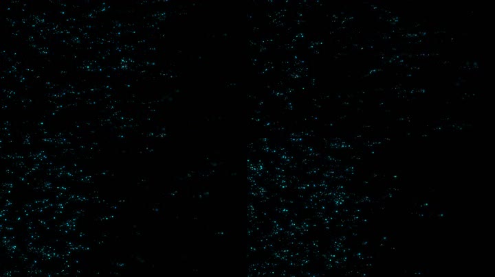  蓝色粒子led视频（循环）