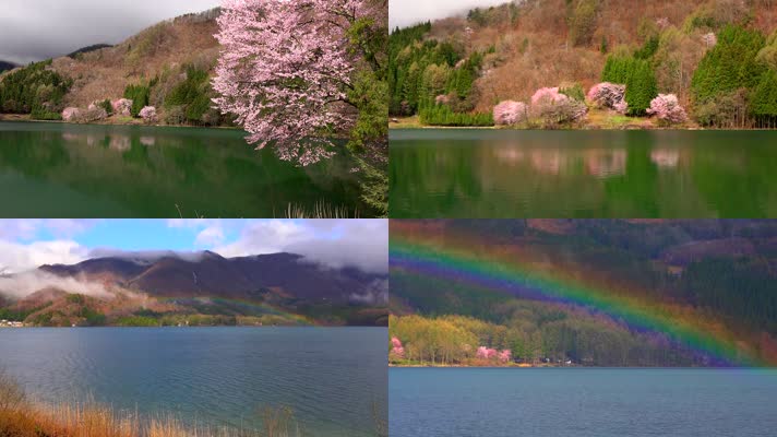 樱花树彩虹湖泊美景