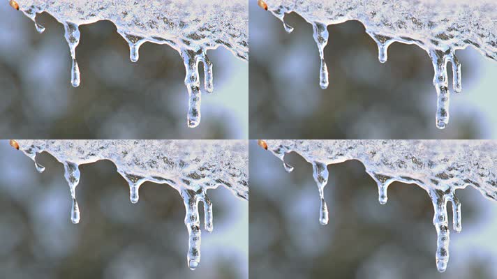 初春春天冰雪融化冰融化滴水水滴冰棒滴水高清实拍