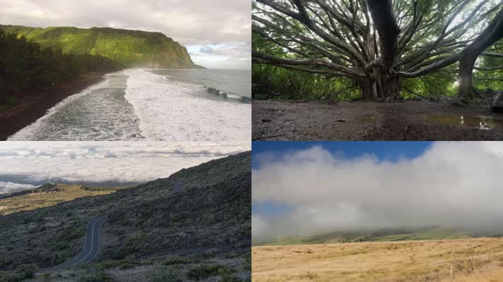 4K超美夏威夷海岸线太平洋美景