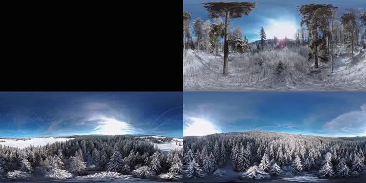 VR360冬季户外森林探险全景视频