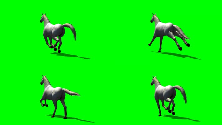 绿屏骏马抠像素材