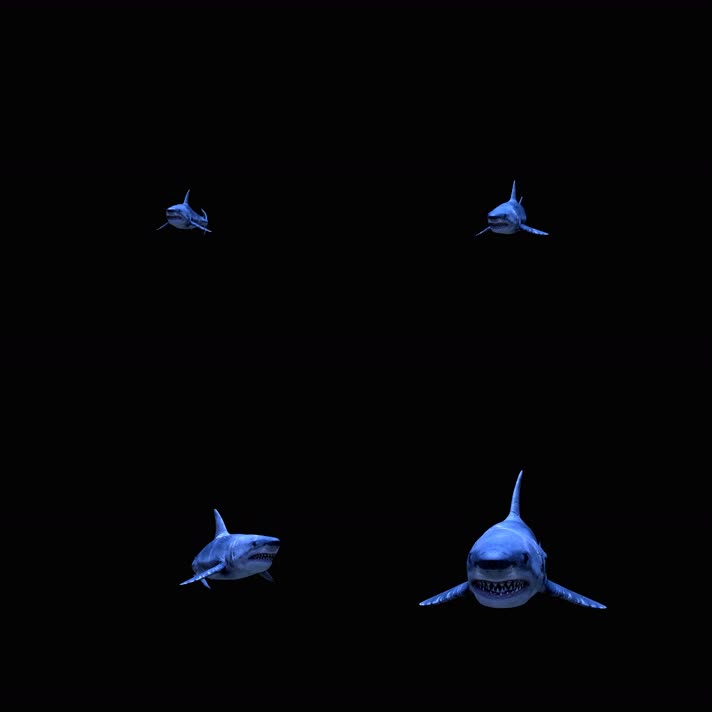 4K三维鲨鱼冲屏带通道合成素材