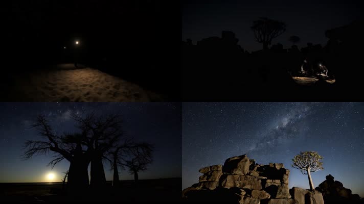4K夜空星空下枯树剪影摄影师