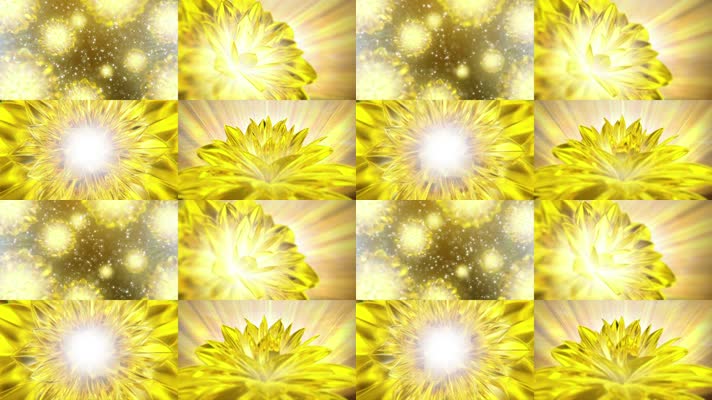 4组金色花瓣背景