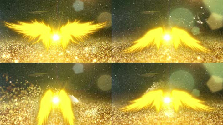 金色粒子翅膀