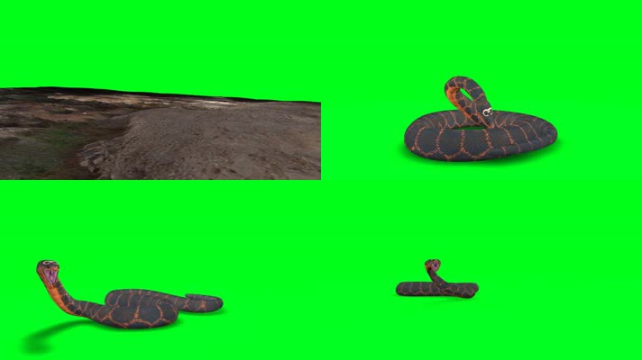 绿屏毒蛇抠像素材