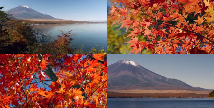 4K日本富士山下秋叶美景