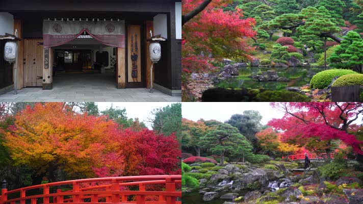 4K日本神奇秋色美丽红叶在大根岛
