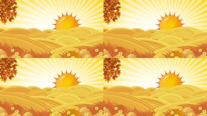 金色太阳阳光麦田背景循环