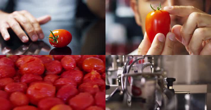 4K绿色农产品番茄番茄酱生产种植