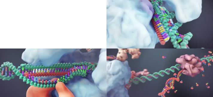 三维基因重组生物医疗动画