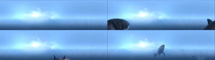 VR360度全景视频海底鲨鱼世界